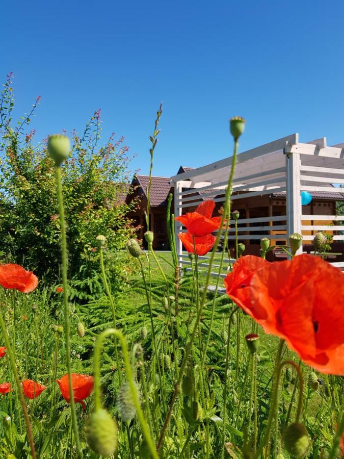Domki Morskie Opowiesci Mikoszewo Exteriör bild